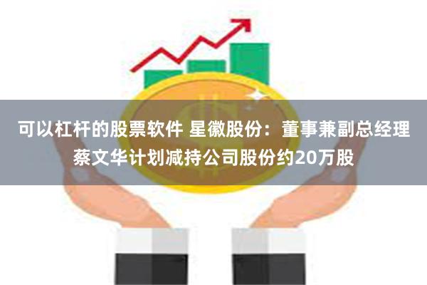 可以杠杆的股票软件 星徽股份：董事兼副总经理蔡文华计划减持公司股份约20万股