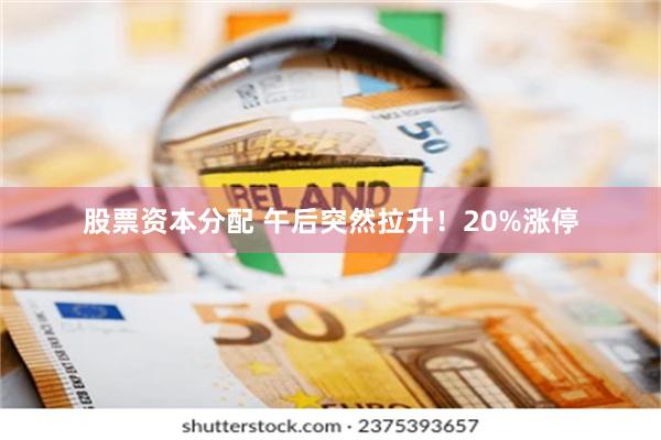 股票资本分配 午后突然拉升！20%涨停